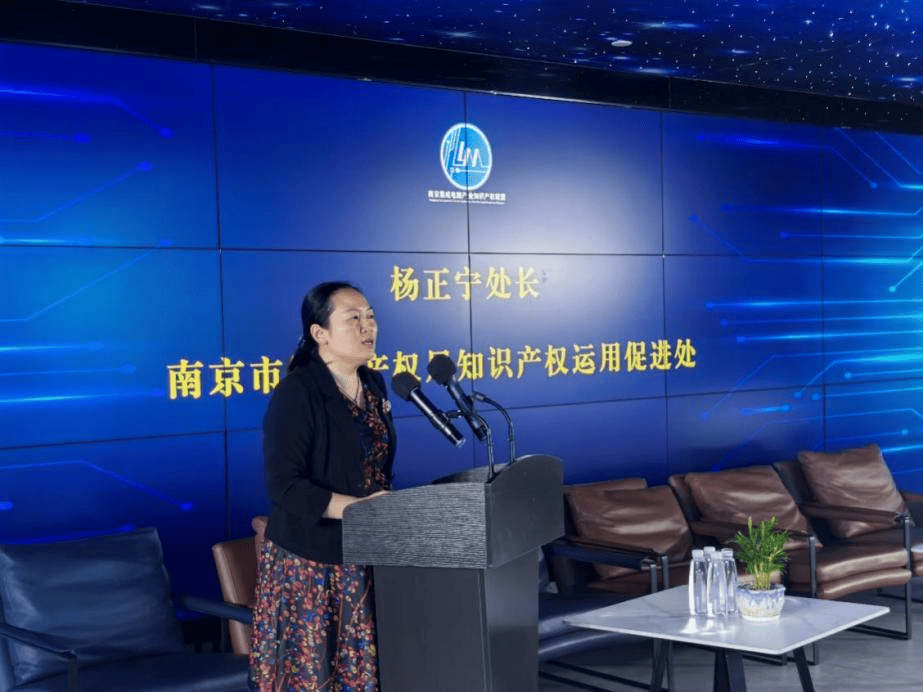 南京集成电路产业知识产权联盟成员大会暨"芯知沙龙"活动在浦口举行