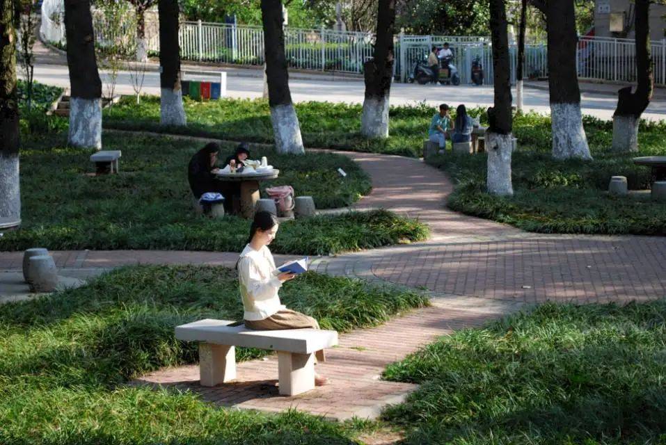 食品科学技术学院陈旭杰 建筑特色>热带作物学院赵林秀 黄昏之时>热带