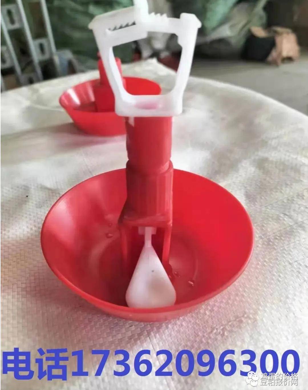 6月7日鸡蛋价格