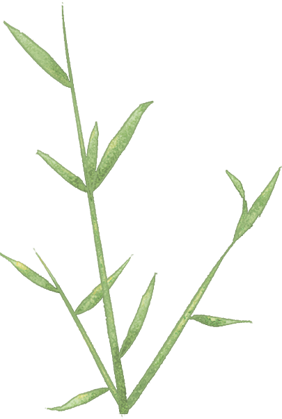 全市师生家长,这份提醒很"粽"要!