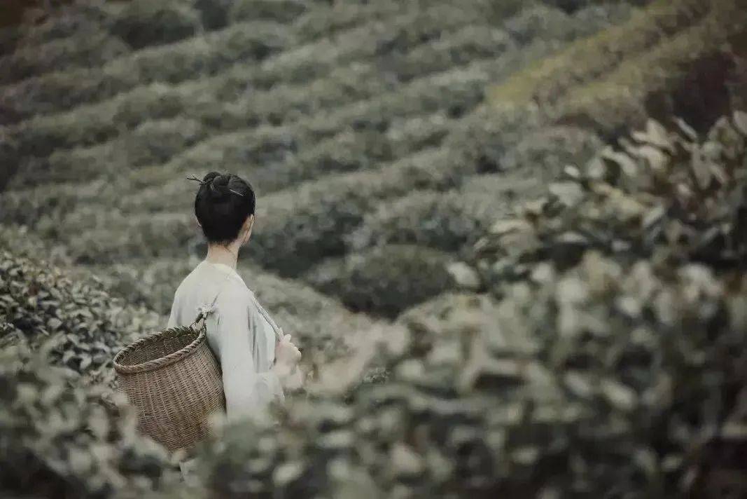 做人“五”大忌!(切忌 切记)_人生_道德_信任