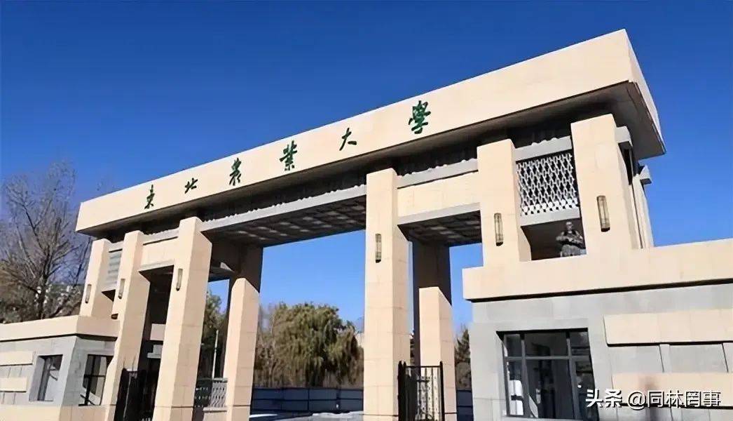 东北师范大学排名_东北师范类大学排名全国_东北地区师范类大学排名