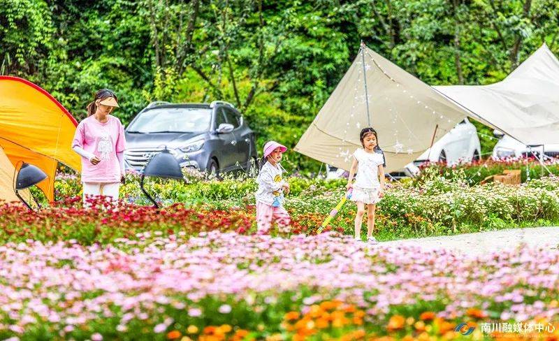 端午游南川,"粽"享"178"!