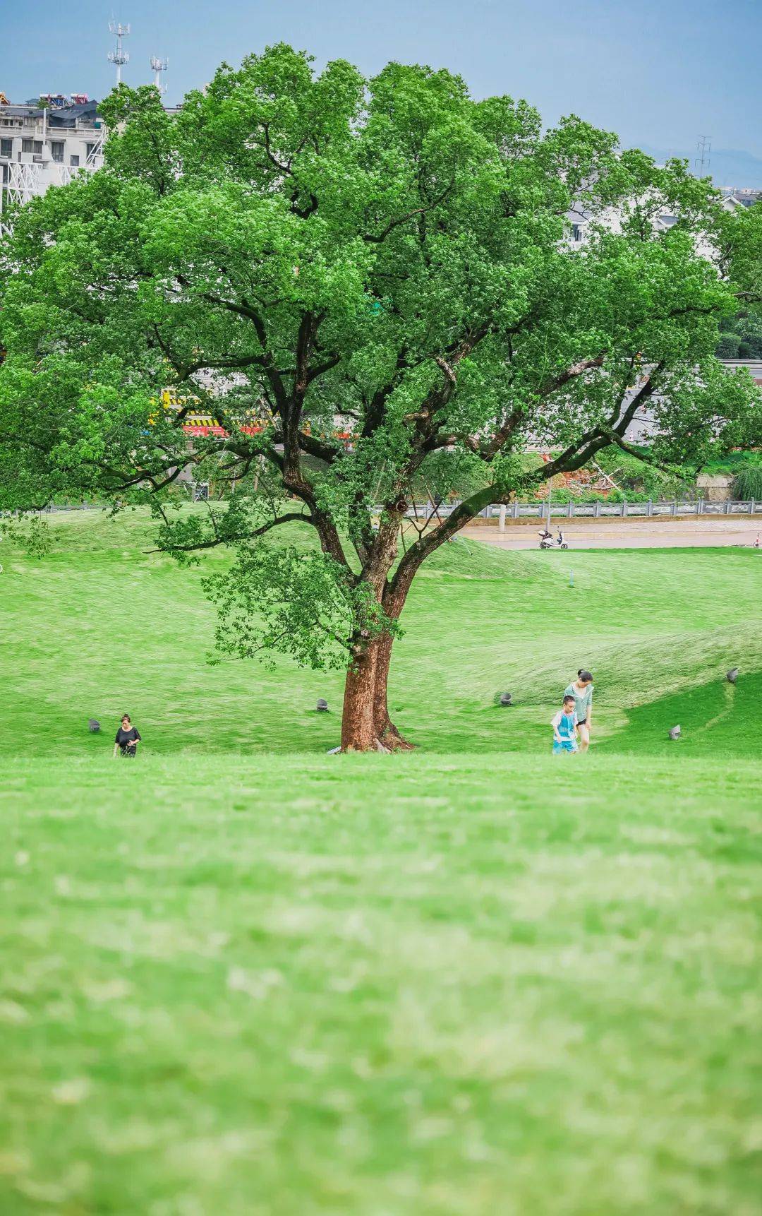 "阿勒泰的风"吹到了长三角,超适合小长假去放风