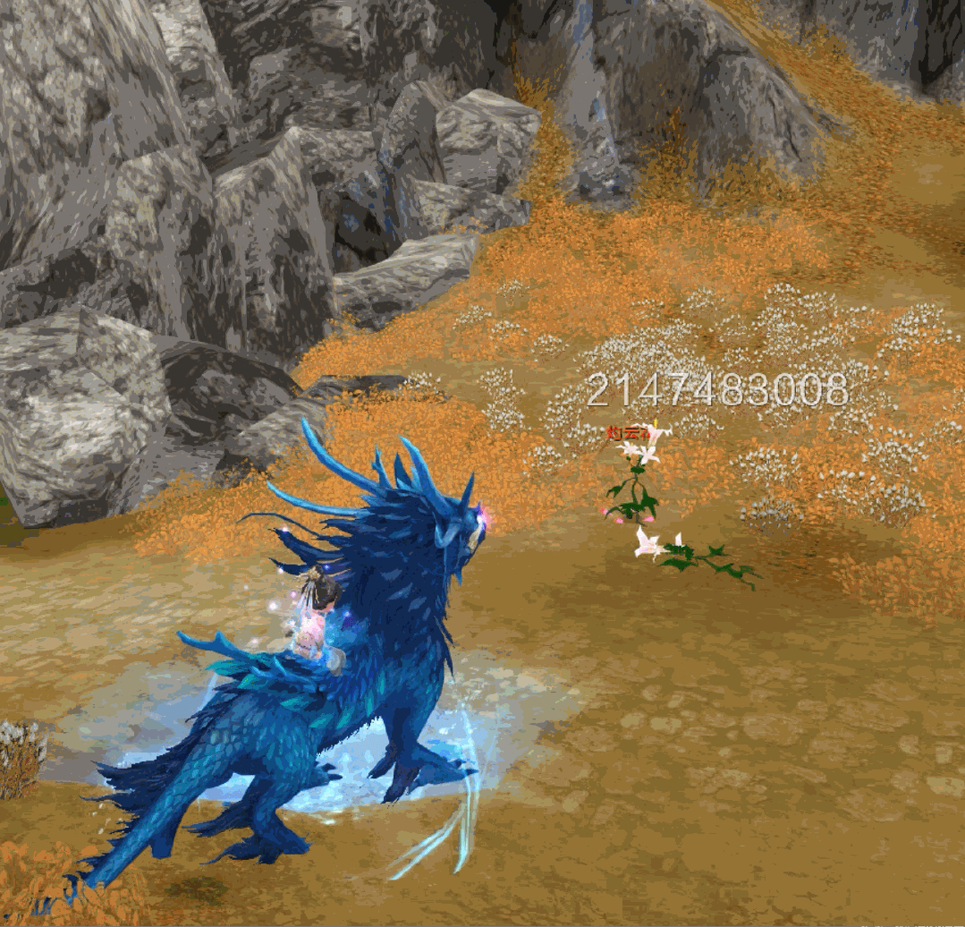 最新坐骑,外观,时装一览