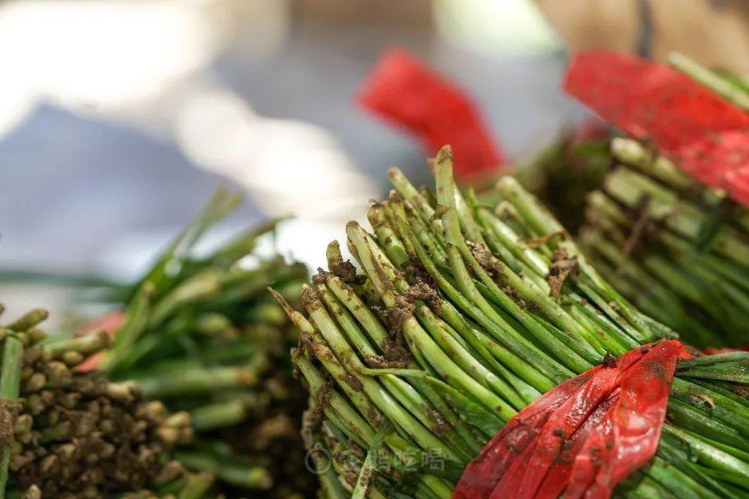 小吃_四川_北京