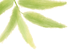 端午节,和我们"香"约与"粽"不同的军营吧!