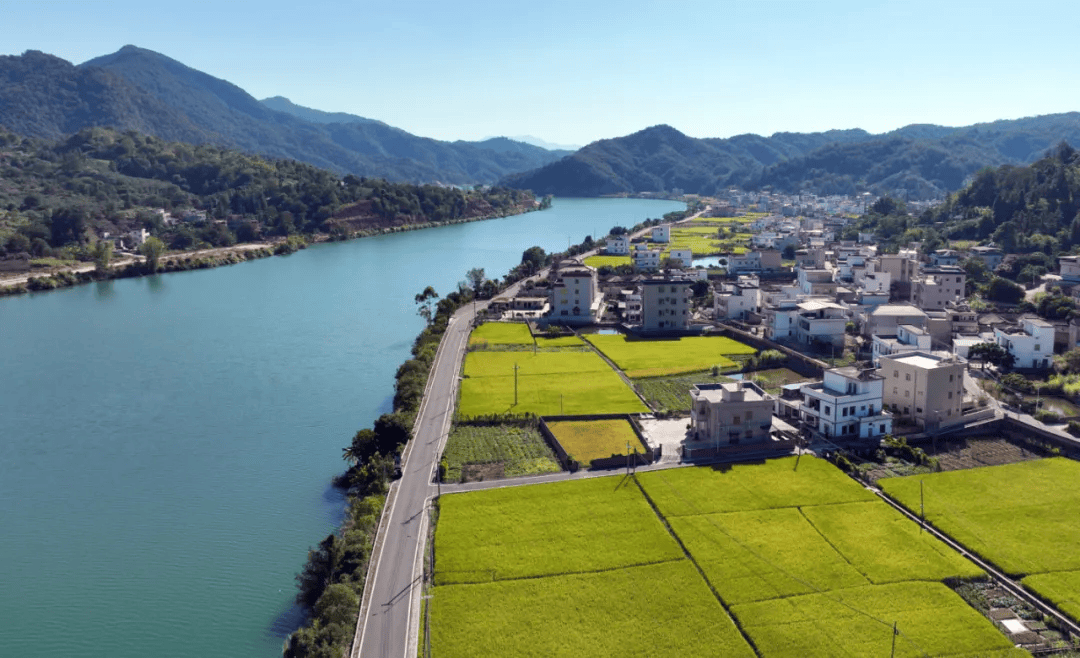 黄石镇:美丽庭院 油茶产业,助推乡村振兴