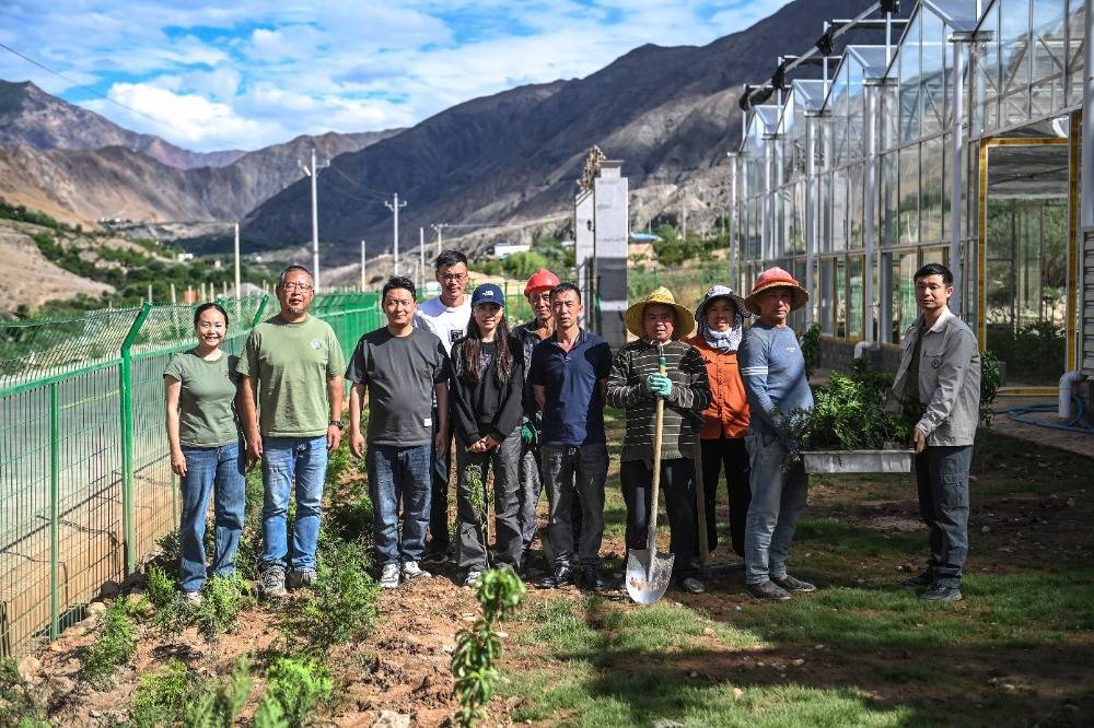 6月4日,怒江畔的左贡县苗木育苗基地,崖柏幼苗栽种即将完成,雪宝山