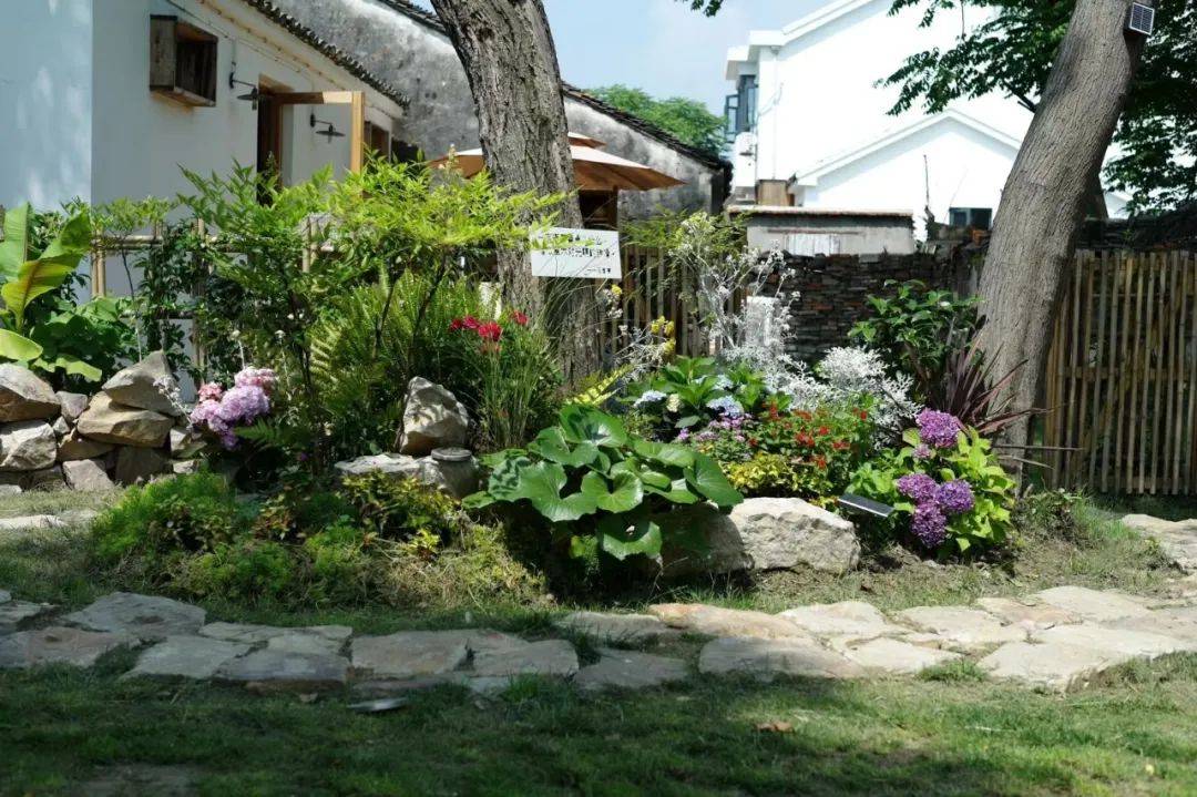 "我只要一朵红玫瑰!难道就没有办法让我得到它吗?"_夜莺_花园里_爱情