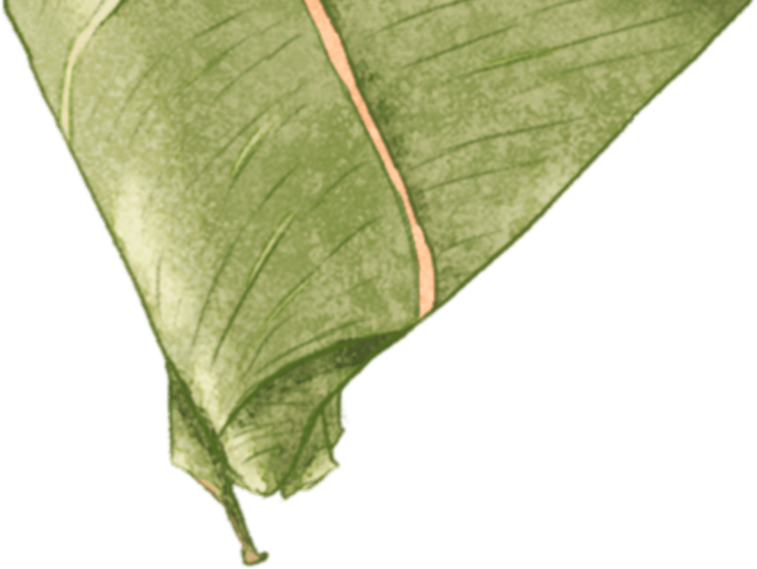 【教育改造】弘扬传统文化 粽享多彩端午