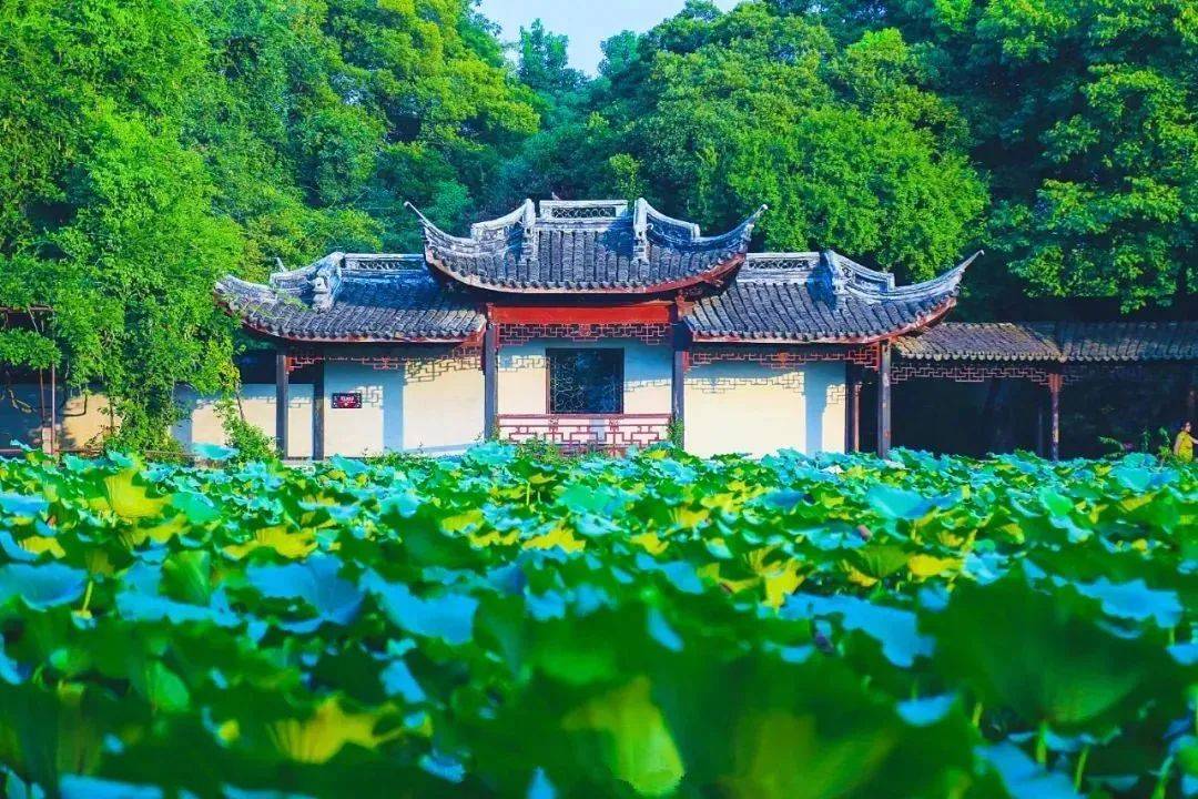 高考后的毕业旅行,我在湖州等你~_美食_衣裳街_小西街