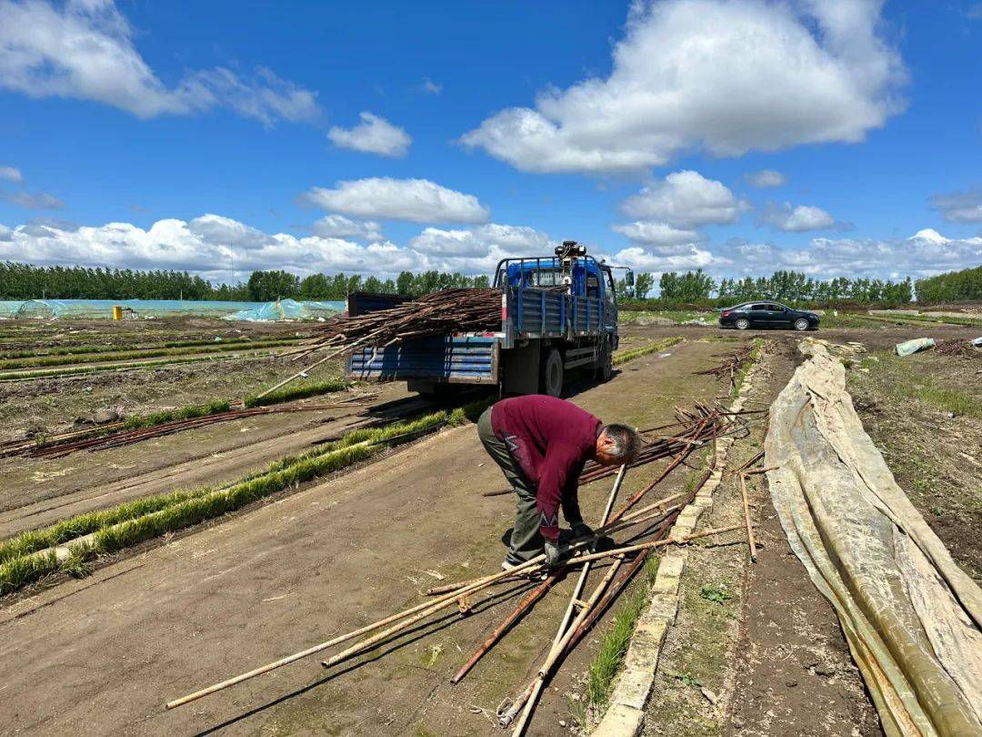 携手好"棚"友 走上致富路