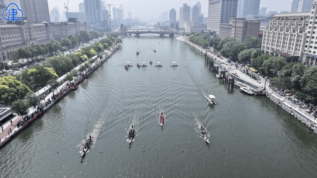 海河赛龙舟,竞渡迎端午