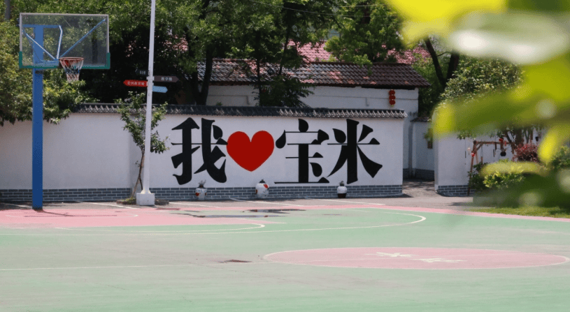 湖南省衡山县:乡村小学的蜕变_宝米_尹中华_校园