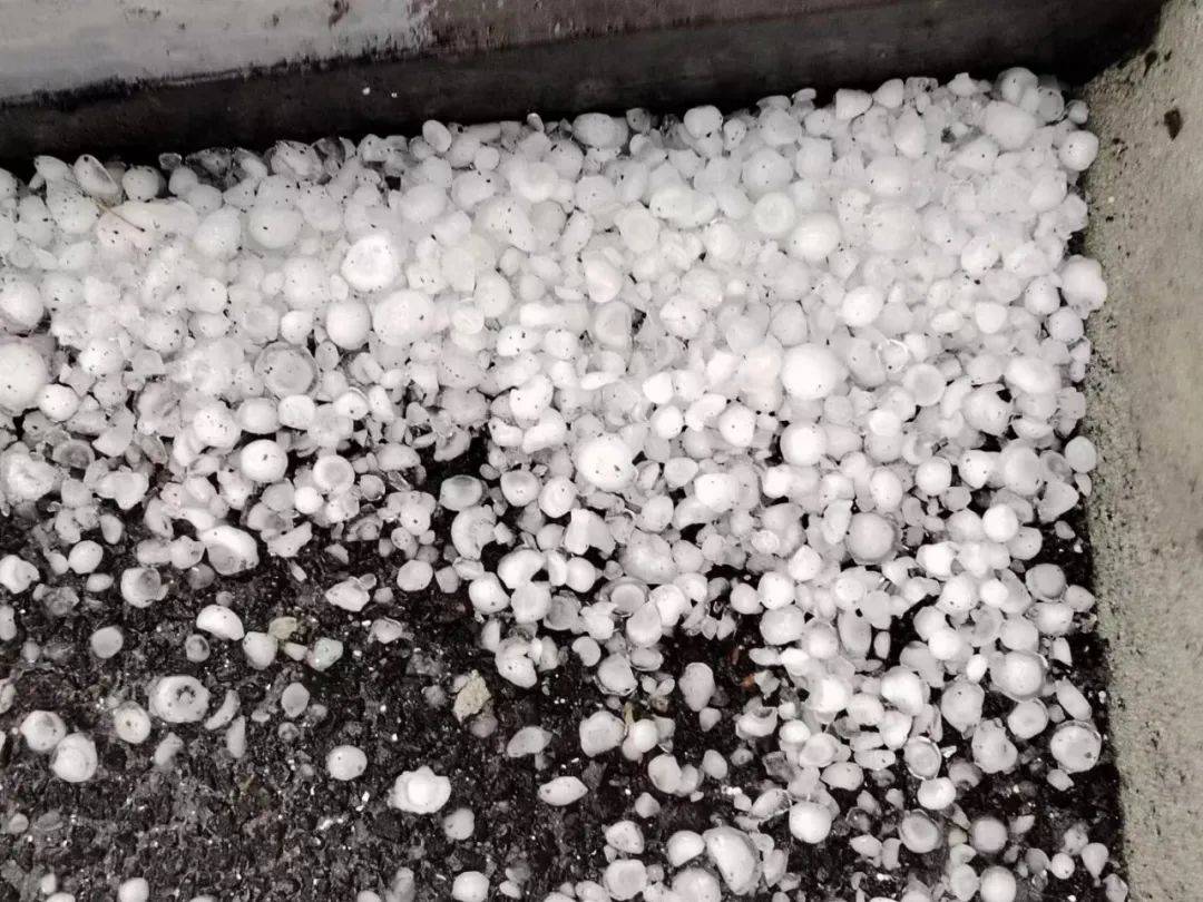 下冰雹了!淄博最新预警!雷雨 阵风10级,下班赶紧回家