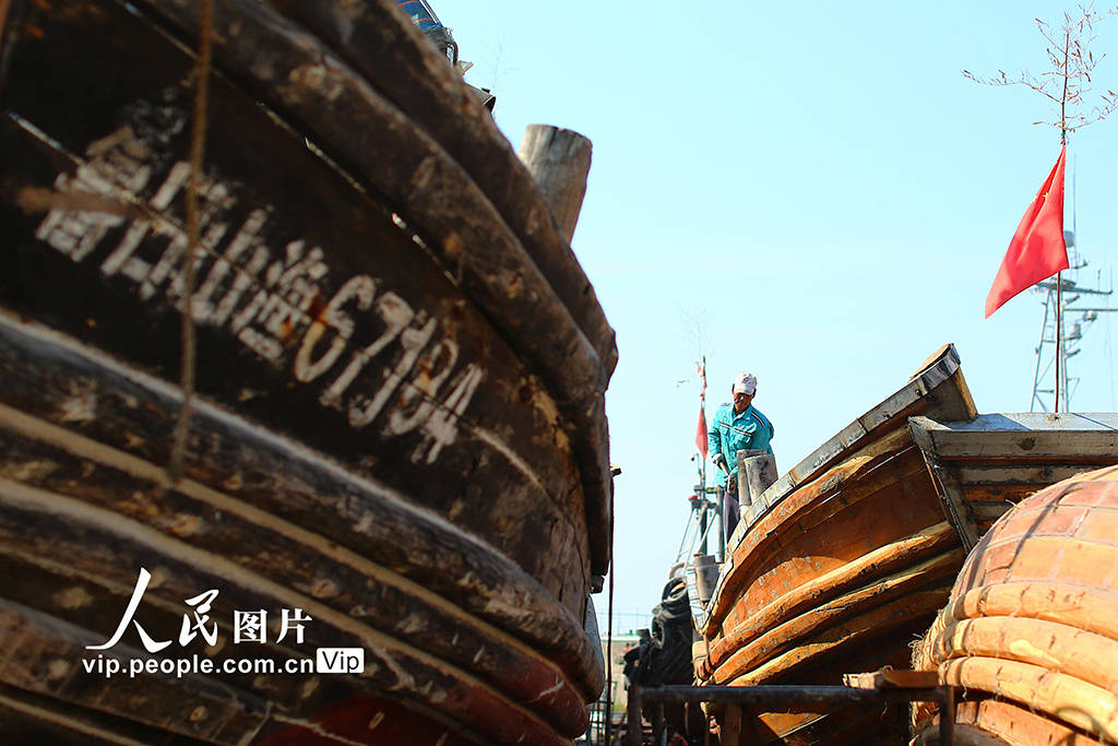 2024年6月10日,山东省日照市任家台码头修船厂内,一片忙碌的景象,渔民