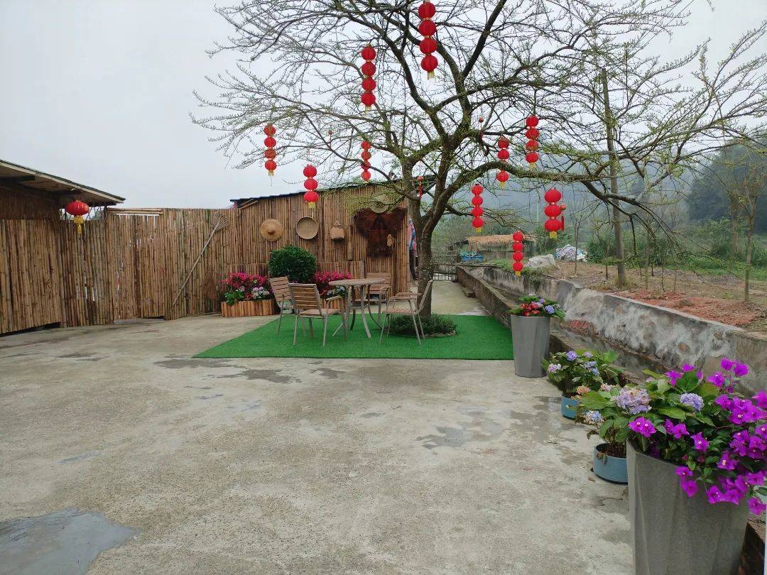 美丽庭院 · 绿美云浮 | 接力"晒" ⑤ 美好"院"景在身边!