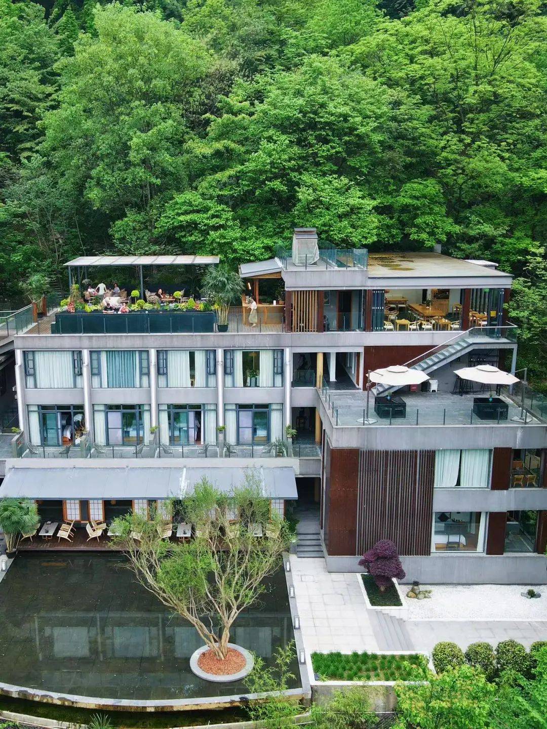 我们村里的年轻人 | 何思思:把民宿打造为都市人的归心之处_青城_美