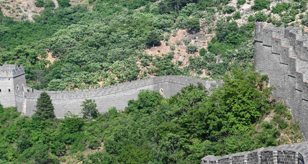 20年后,教授李哲,正带着年轻的学生,用无人机飞越长城,采集"长城全线