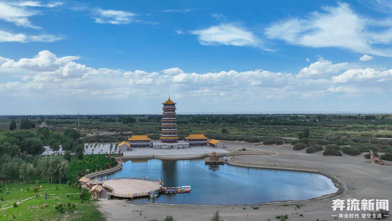 夏日,胡杨林美景醉人