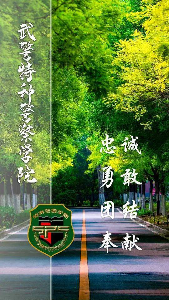 2024年军队招收普通高中毕业生计划来了_宣传_招生_陆军
