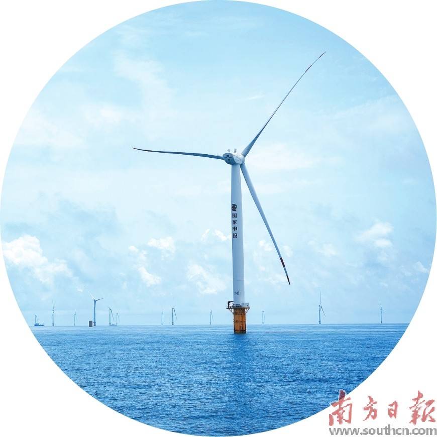 "湛江制造"何以狂飙?