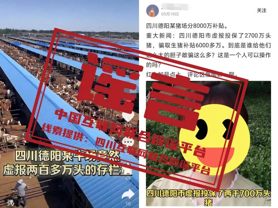【辟谣】广西南宁市赛龙舟翻船致人员伤亡？