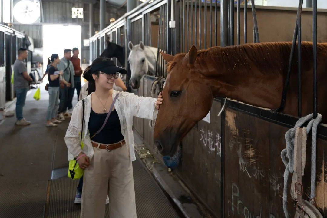 西藏日报:管家婆一码一肖100中奖-城市：谷器数据入选“2024一线、新一线城市数字经济典型标杆企业TOP100”榜单  第2张