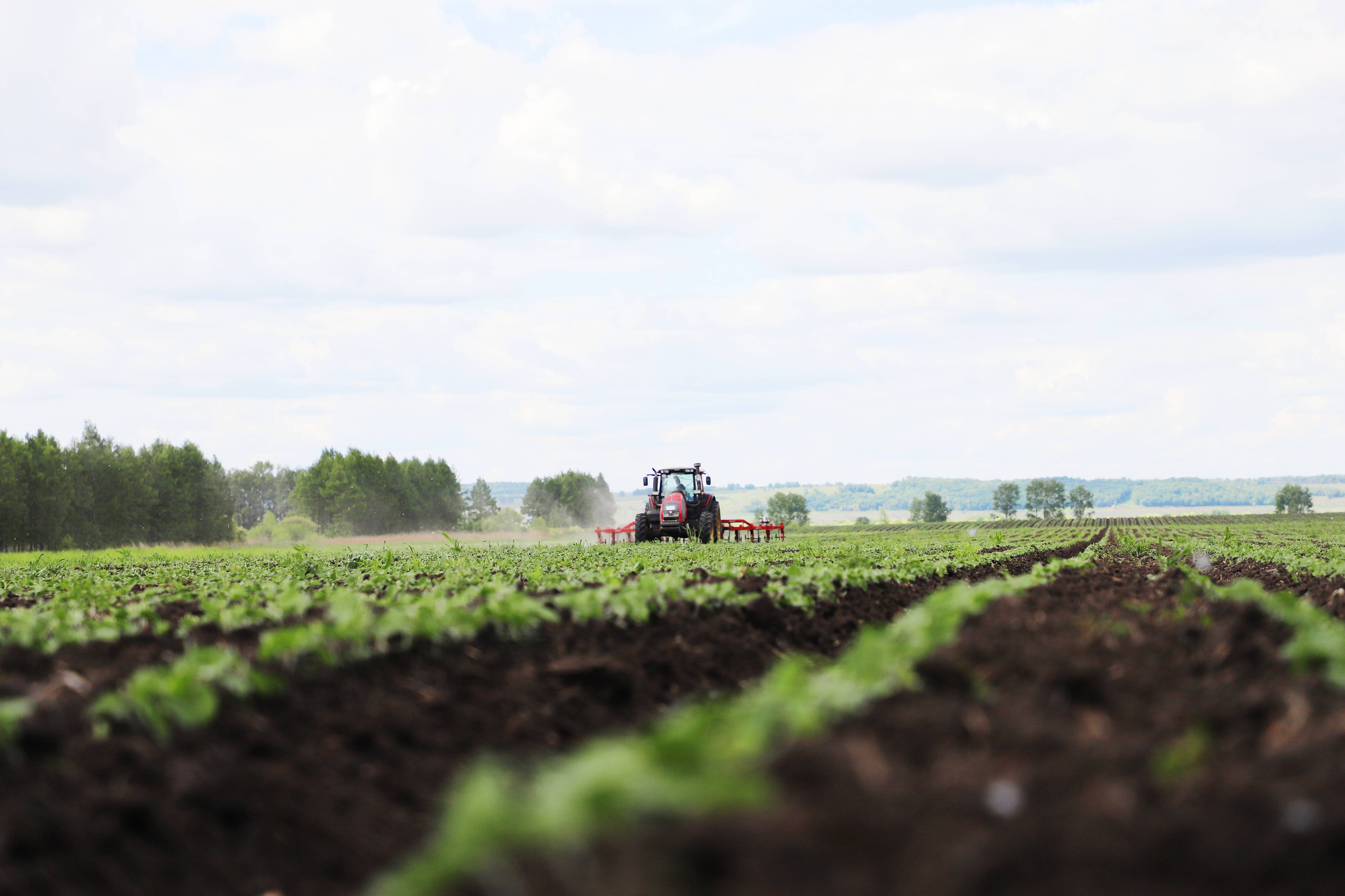 智能农机"上岗" 快速除草不伤苗
