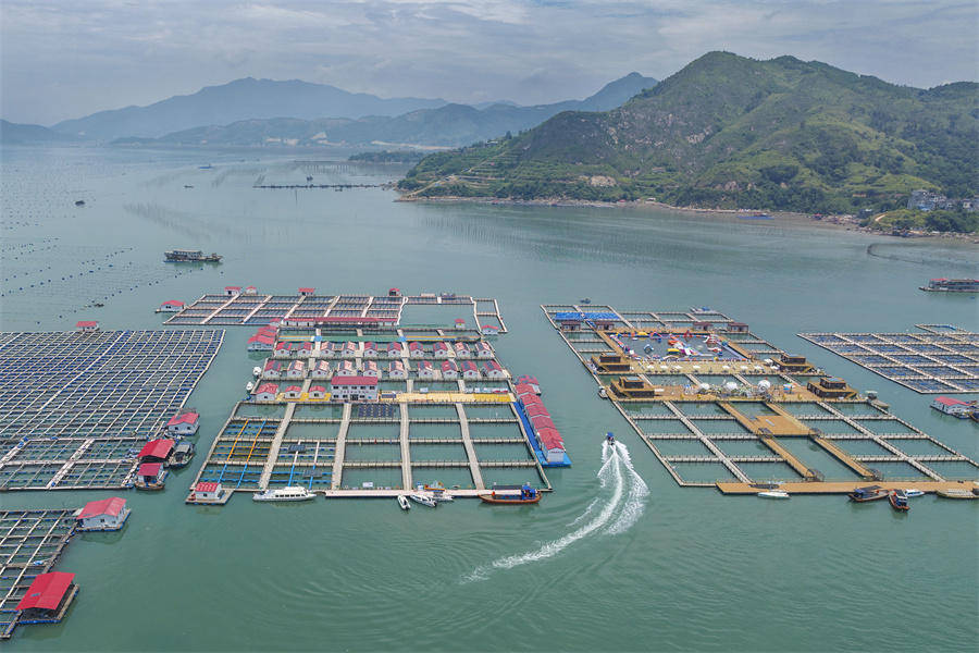 近观枫桥|潮涌东南岸 "枫"从海上来_溪南镇_霞浦县_福建省宁德市