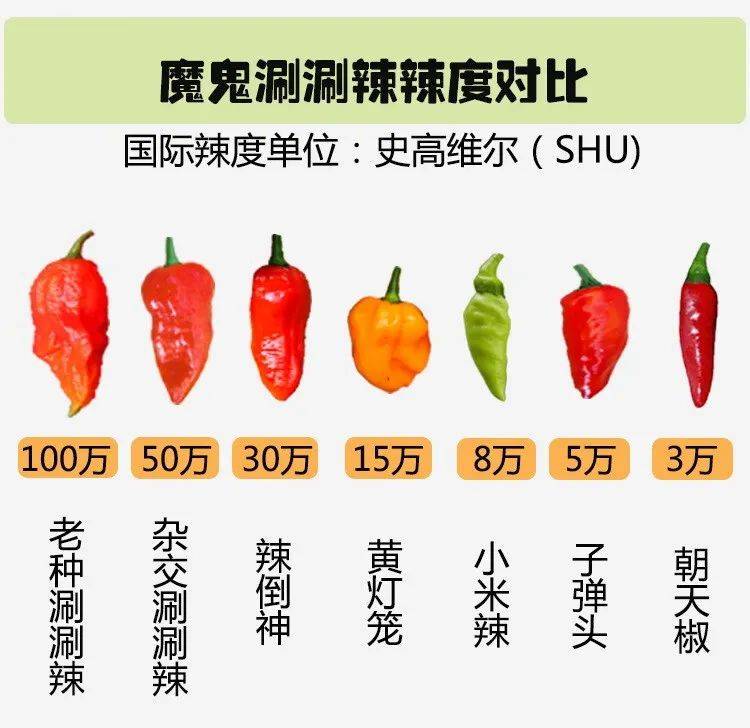 华人表示:移民后就戒了