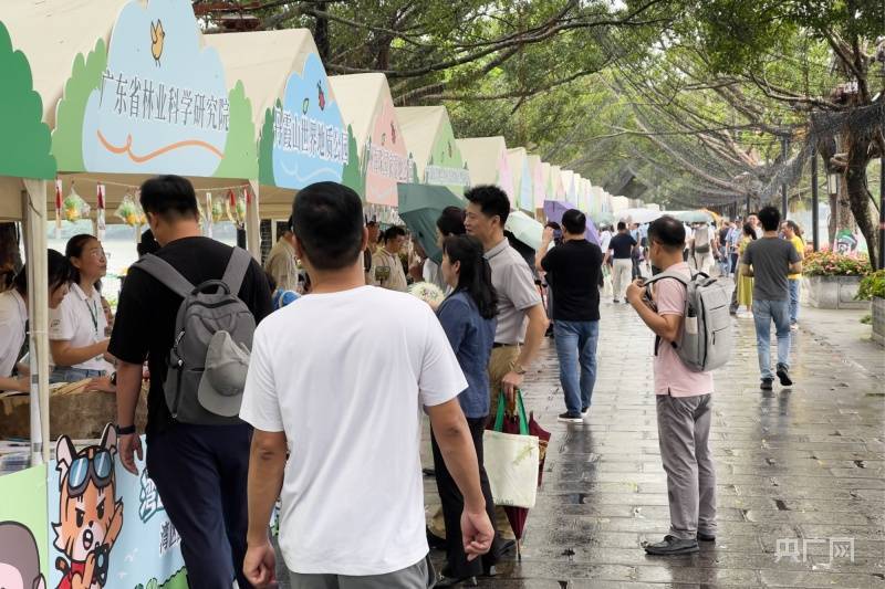 番茄视频：澳门精准一肖一码准确-普陀区召开党纪学习教育警示教育会