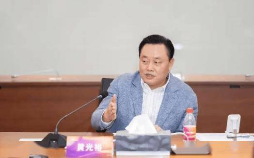 黄光裕揭幕国美通讯新战略:产业联盟引领未来