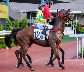 赛日头条| c 3栏圣手显威风