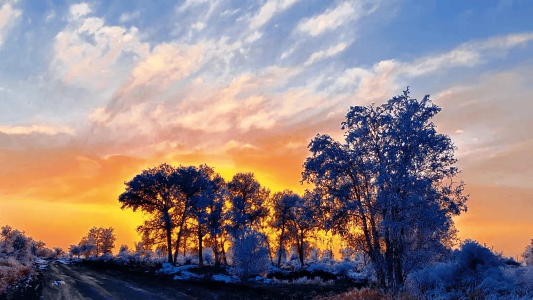 古尔邦节巴州旅游攻略,助你畅游无忧!
