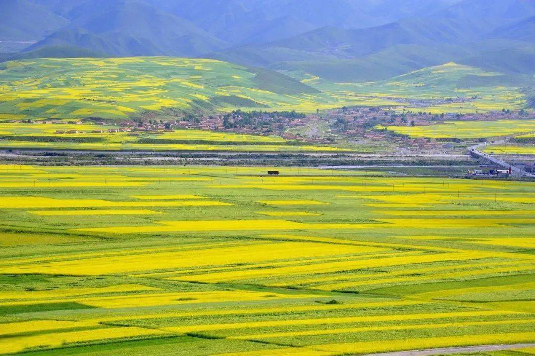 壁纸 成片种植 风景 植物 种植基地 桌面 1080_718