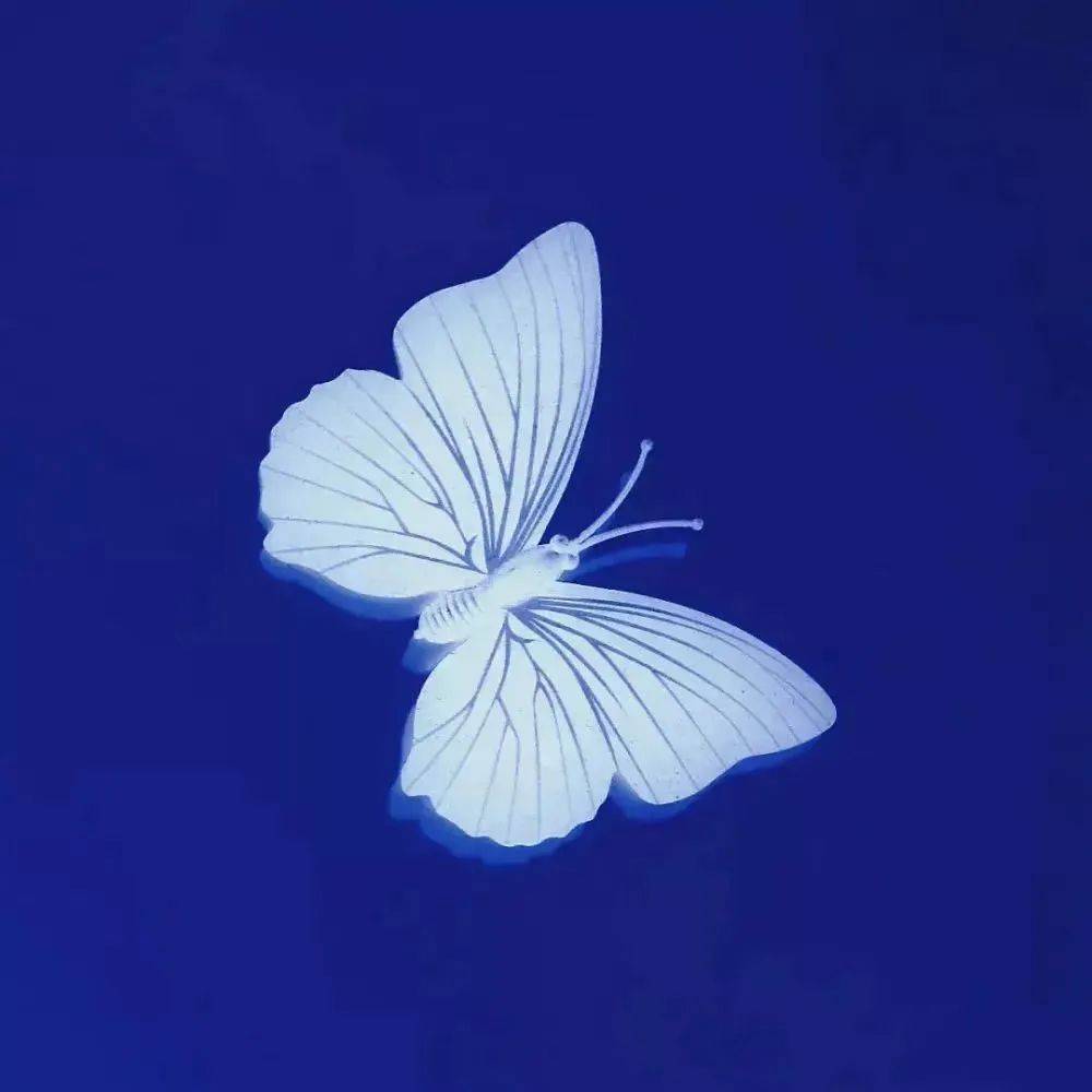 头像背景 丨光明之处 共赴前方