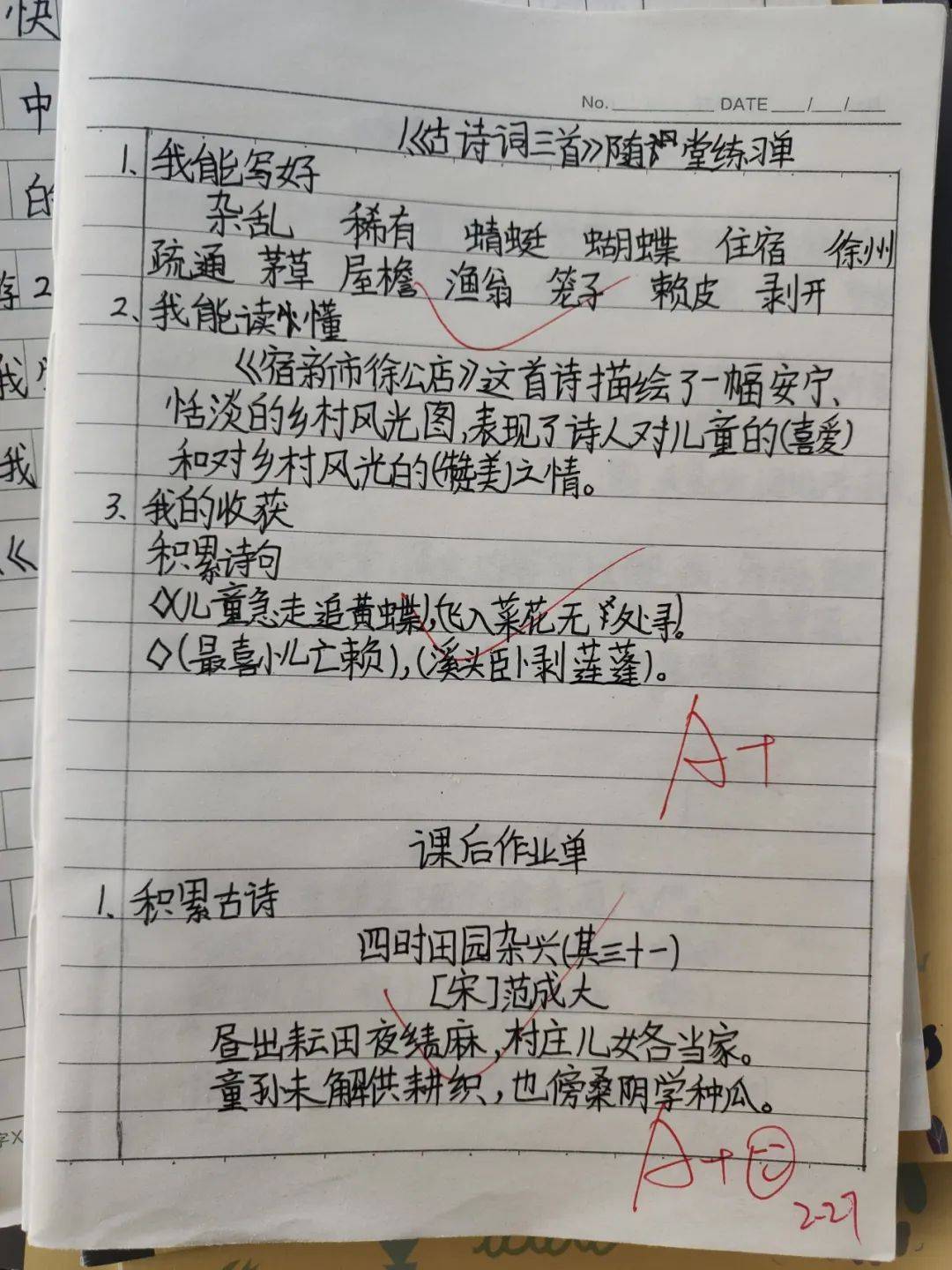 全环境立德树人 晒最美作业