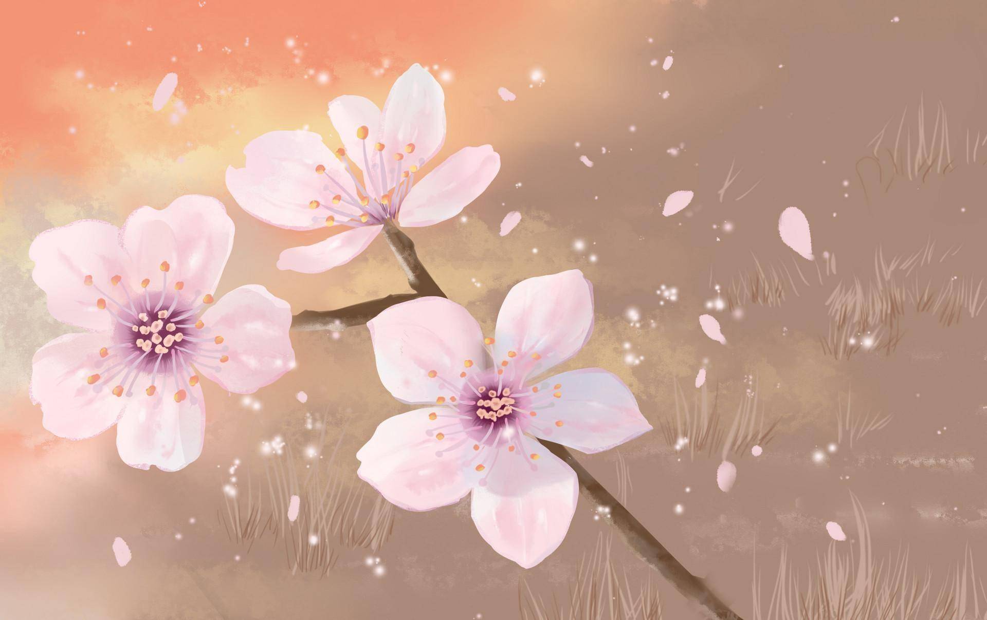 背景 壁纸 1920_1207