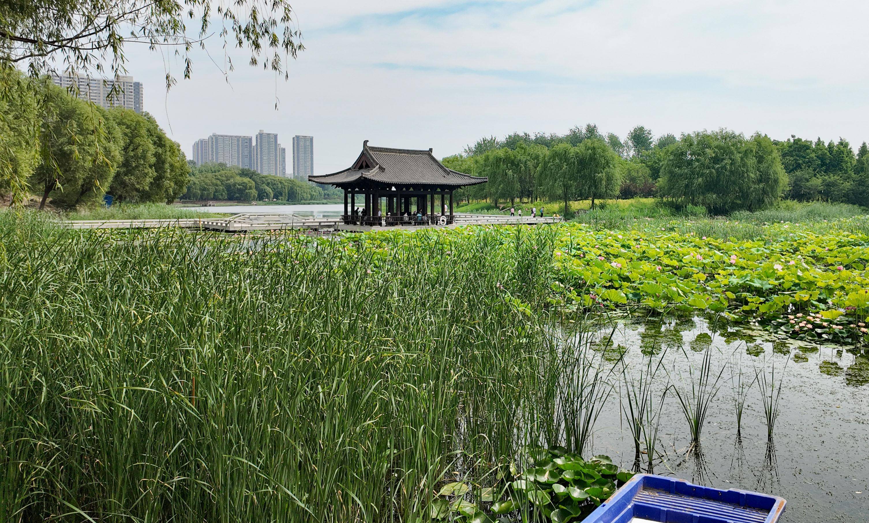 郑州市西流湖公园图片