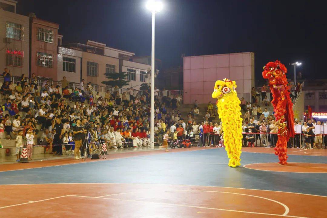 醒狮、太极拳、少林棍术……这场活动展示群众健身技能_表演_全民_阳江