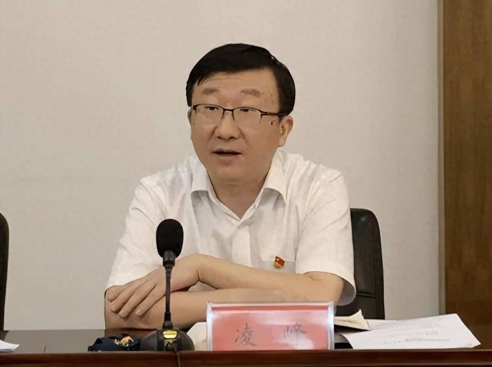 中国证监会江苏监管局局长凌峰被查