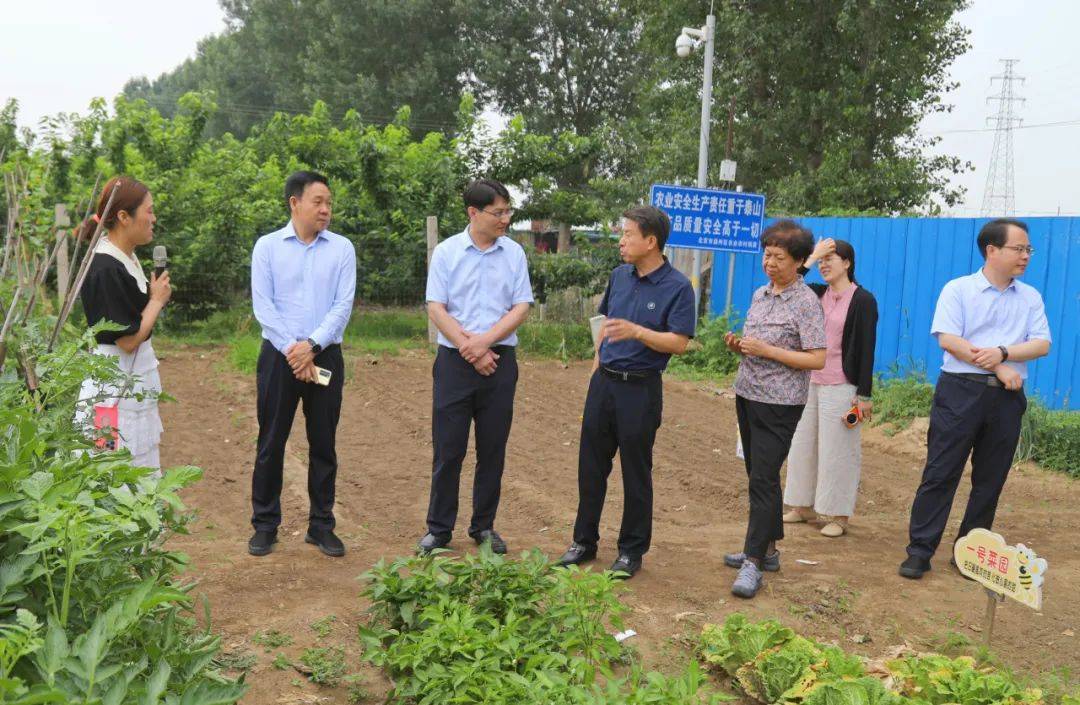 来到老庄户村潮星文旅·马捌家·运河仙草乐园和沙古堆村曹女阳光农场