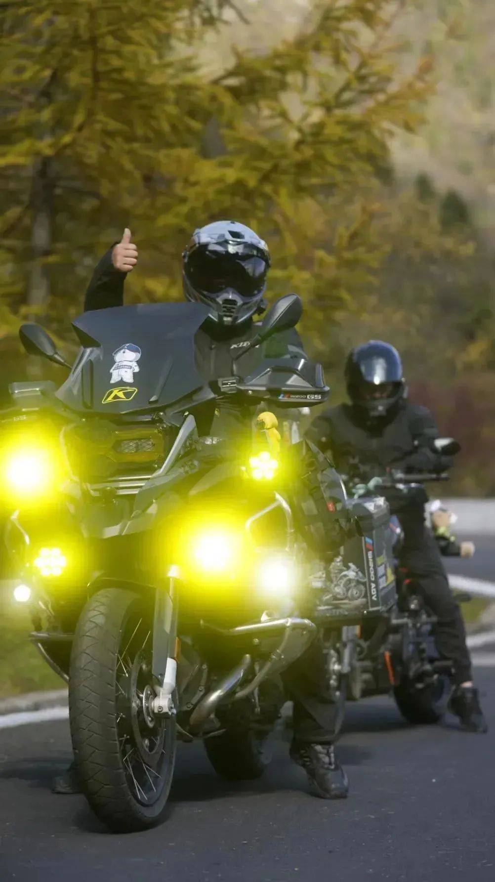 来22℃镇坪,在百合花海里纳凉!