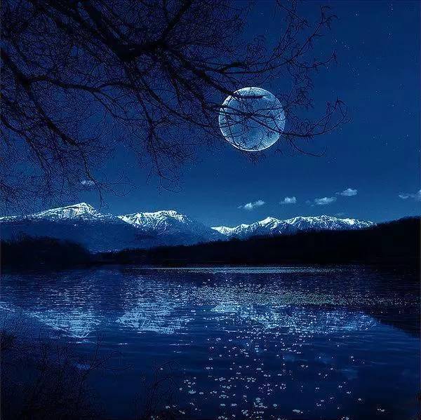 这才是唯美照片的最高境界,太美了!_人生_风景_阳光