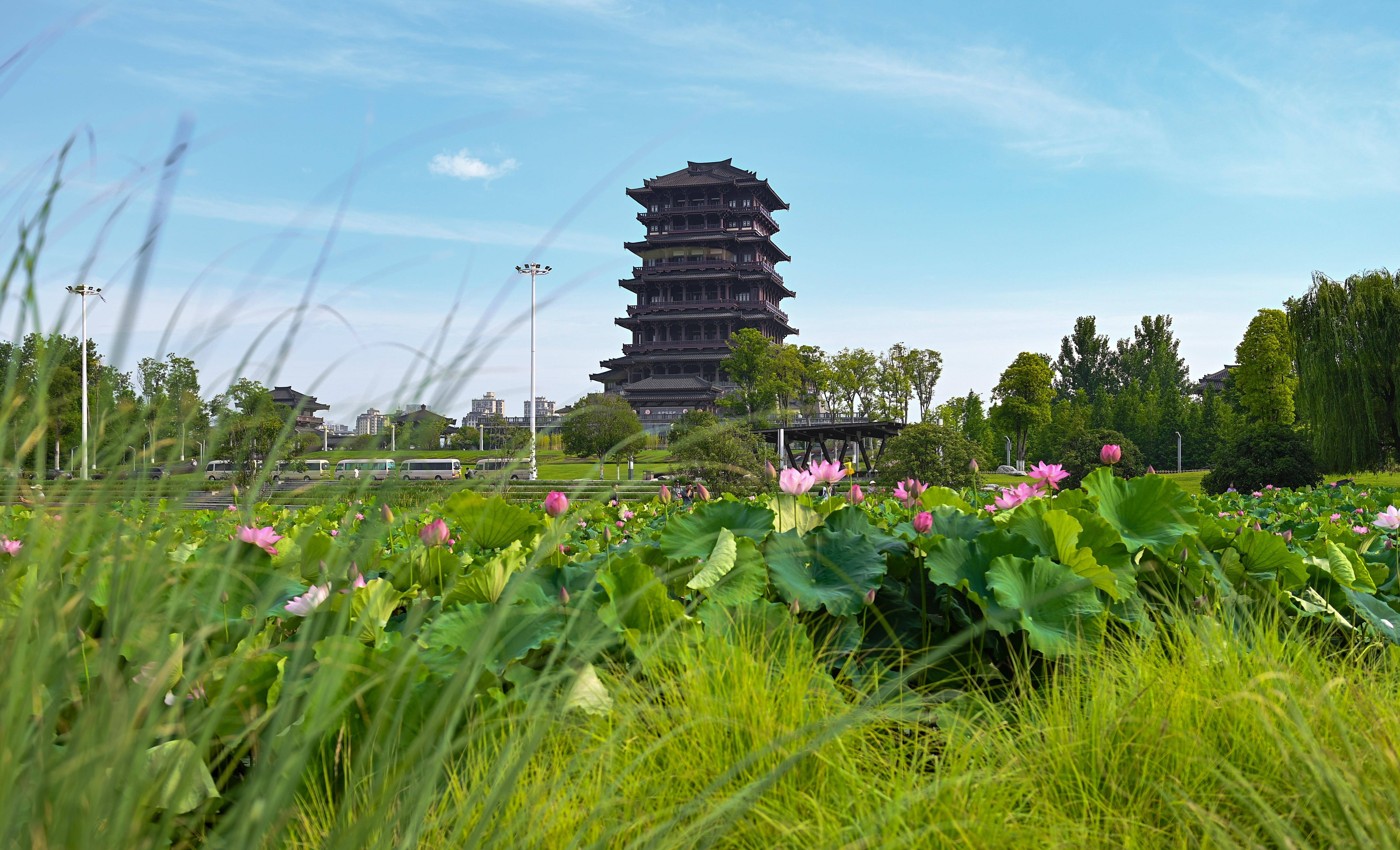 中国网 :澳门管家婆三肖三码资料-城市：加快城市群协同创新，带动大中小城市协调发展  第2张