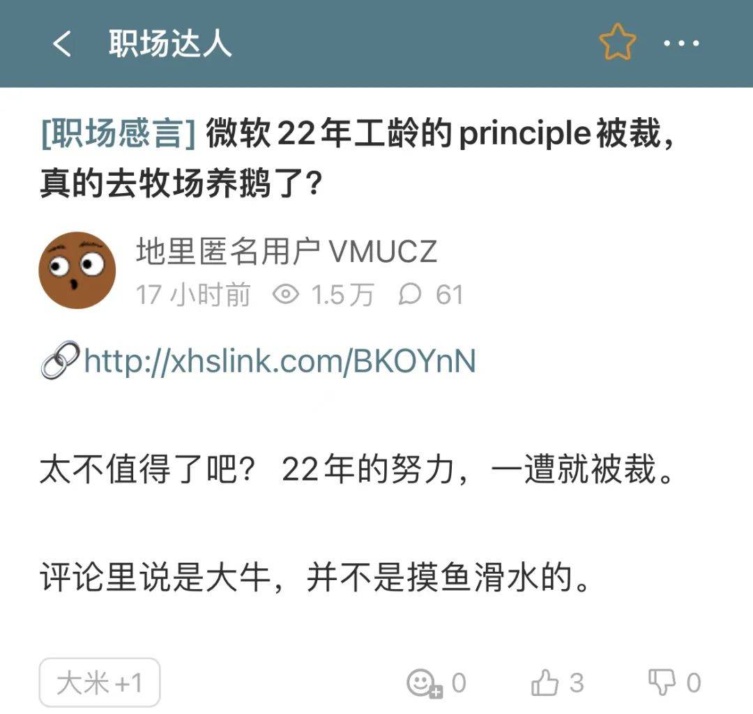 微软22年老员工，被裁后转行养大鹅？！_搜狐网