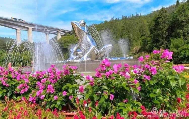 文章配图-33