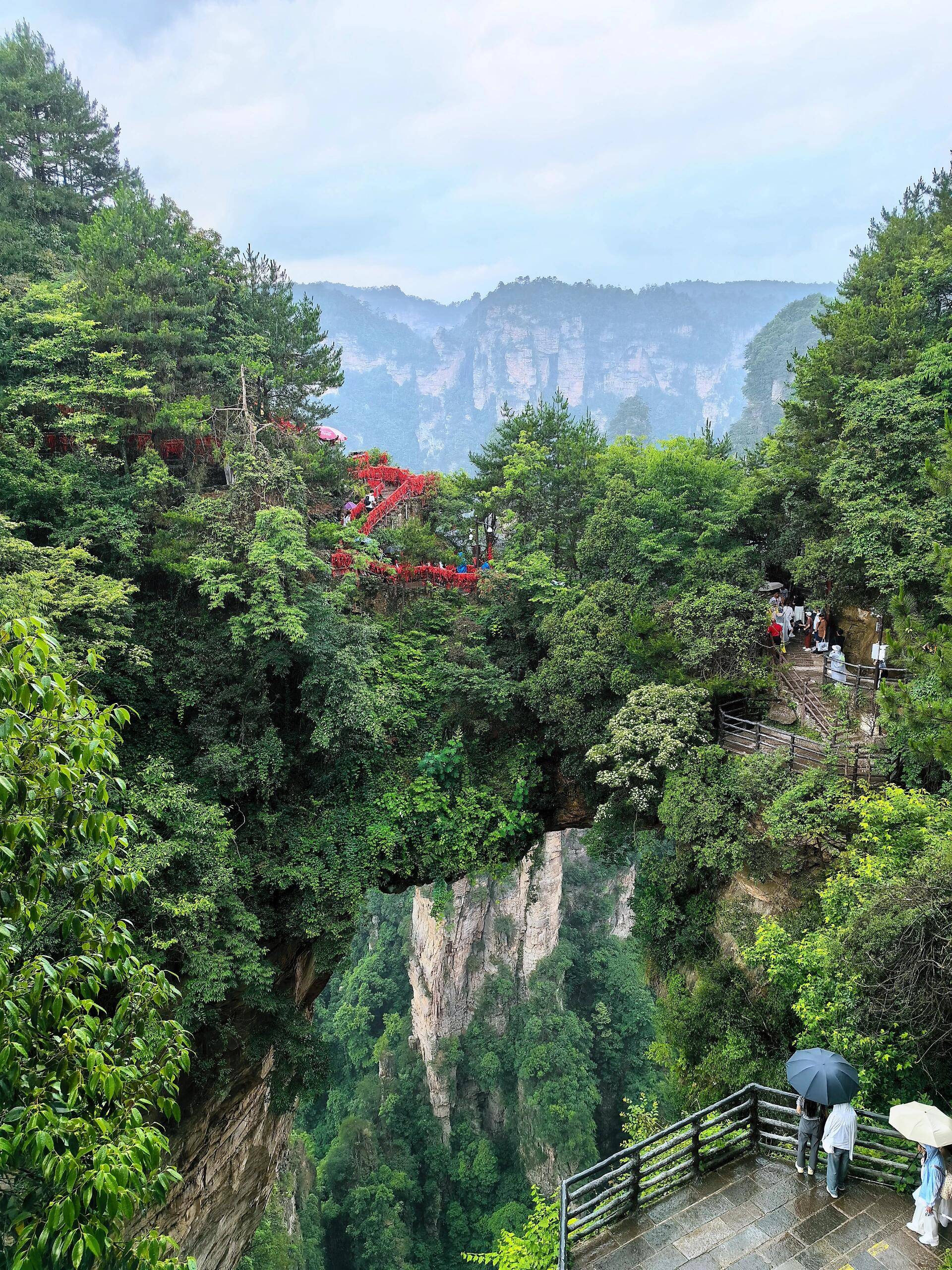 张家界森林公园一日游攻略,必关注的旅游攻略